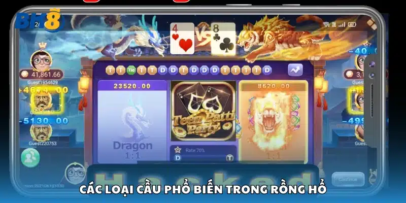 Một số loại cầu phổ biến trong Rồng Hổ