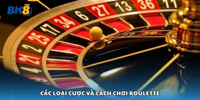 Hướng dẫn chi tiết các kiểu cược trong Roulette online