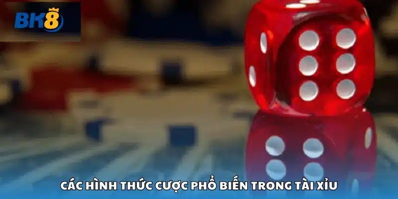 Một số hình thức cược phổ biến trong tài xỉu