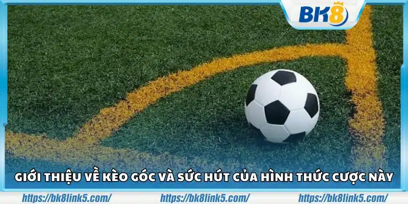 Giới thiệu kèo góc cùng những điểm hấp dẫn người chơi