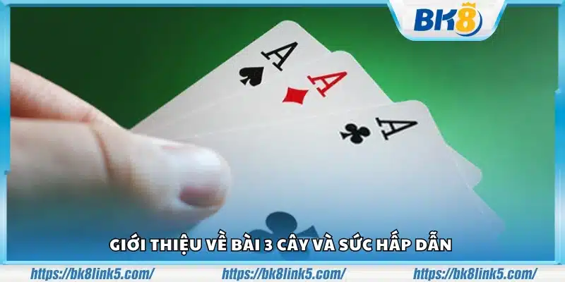 Giới thiệu sơ lược về bài 3 cây đầy thú vị